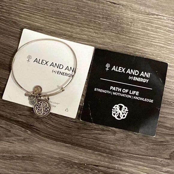 NWOT Women’s Alex and Ani Path Of Life 2014 Rafaelian Silver Bangle - Picture 1 of 8